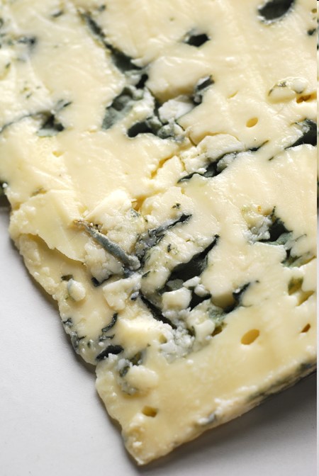 Queijo fino azul, tipo Gorgonzola, onde o crescimento do fungo Penicillium roqueforti, é desejado e essencial para a qualidade do alimento